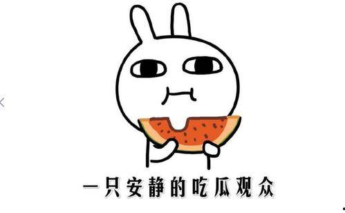 最新吃瓜被打热门事件,网络暴力事件引发社会关注