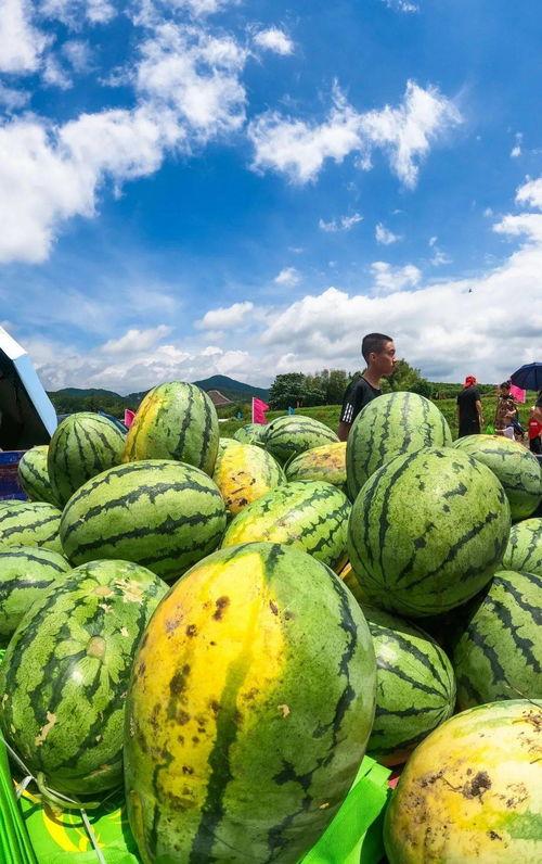 梁山吃瓜今日头条,揭秘今日头条热门事件背后的真相