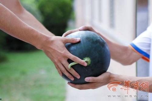 今日吃瓜学生必看,揭秘校园吃瓜学生必看事件