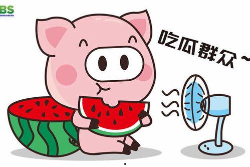 吃瓜热门八卦,揭秘最新吃瓜热门八卦事件
