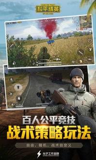 吃瓜爆料和平精英,揭秘和平精英背后的精彩故事