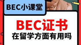 热门吃瓜视频爆料大全,热门吃瓜视频爆料大全，揭秘娱乐圈幕后真相