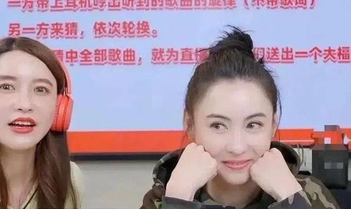 明星网红的话,揭秘网红经济背后的秘密与挑战