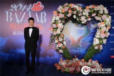 明星网红慈善,共筑爱心桥梁