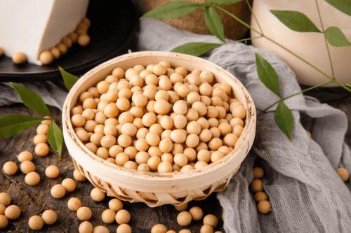 黑料吃瓜入口大豆,揭秘大豆背后的惊人真相