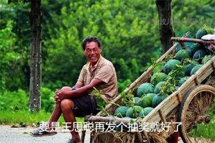 911红领巾今日吃瓜,揭秘911红领巾今日吃瓜背后的热点事件