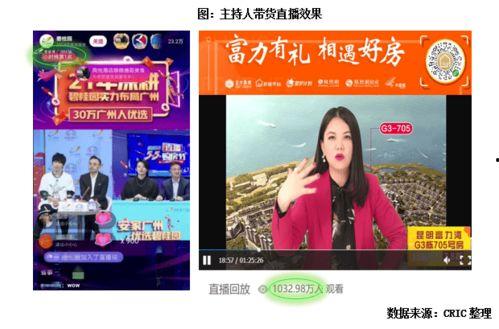 播放明星网红