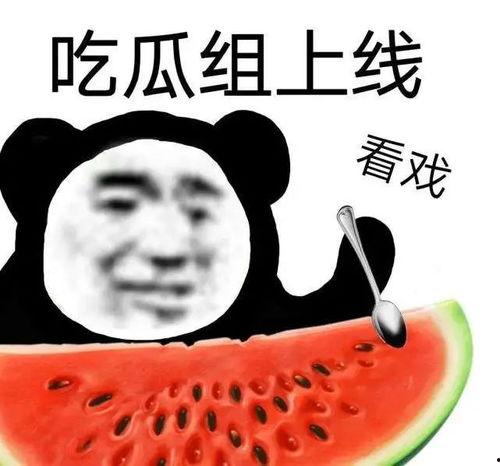 黑料吃瓜不打羊,网络舆论场上的羊群效应与自我反思