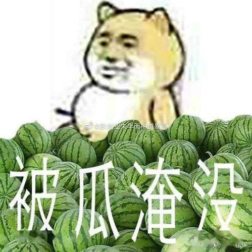 黑料吃瓜不打羊,网络舆论场上的羊群效应与自我反思