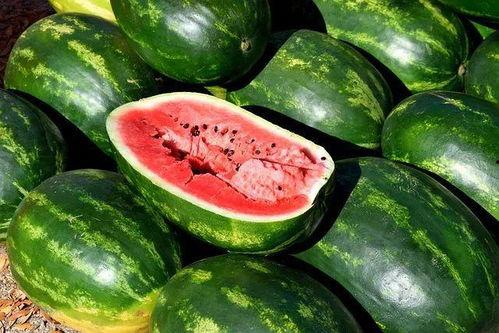51热门今日吃瓜大全