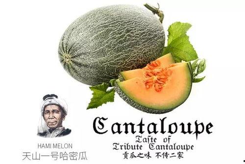 今日吃瓜推荐官,揭秘娱乐圈最新热点事件