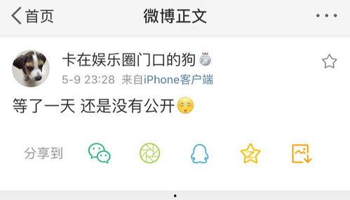 爆料吃瓜正能量,揭秘娱乐圈温馨瞬间，传递美好正能量