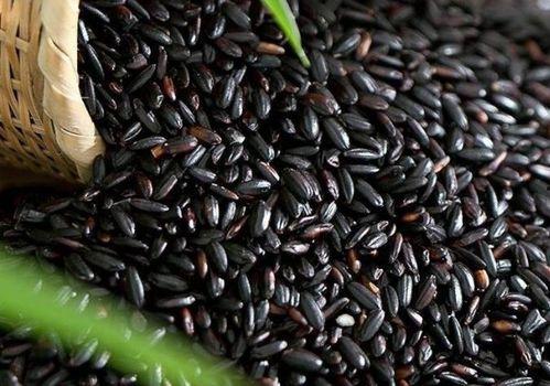 黑米瓜怎样吃最好,解锁美味新食法