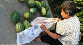 近期热门吃瓜事件南宁,揭秘近期热门吃瓜事件背后的真相