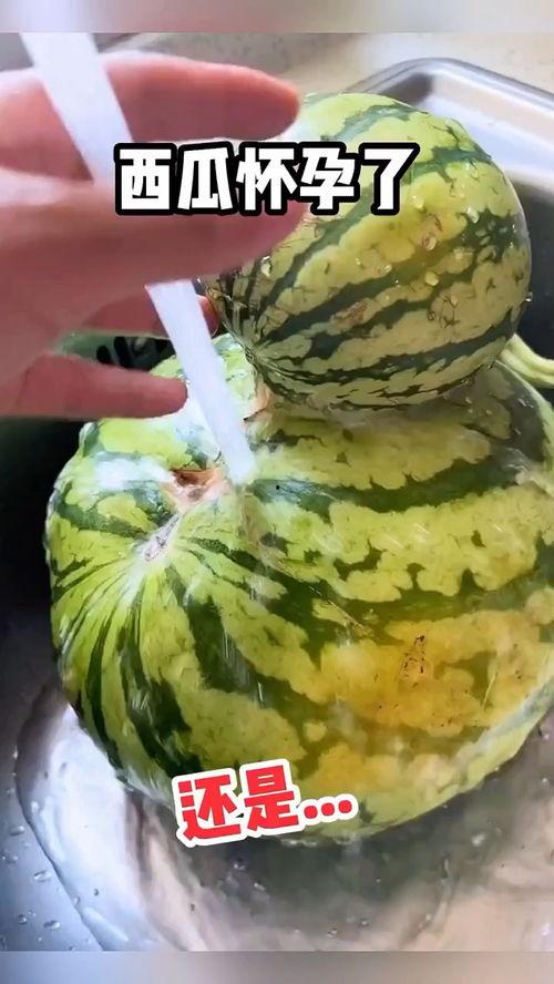 热门吃瓜搞笑视频大全,笑料横生！热门吃瓜搞笑视频大盘点