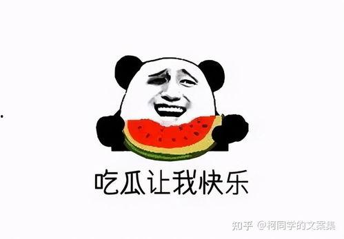 瓜嫂今日吃瓜是真的吗,真相揭秘