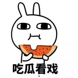 吃瓜热门口号大全,热门口号大全解析