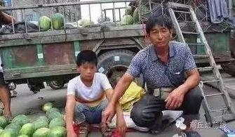 热门事件吃瓜打人郑州,吃瓜群众打人风波引发社会热议