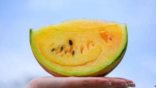 云南今日吃瓜最新信息,揭秘今日热点事件背后的真相