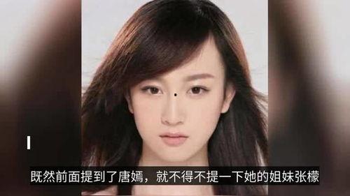 寻找明星网红,明星网红的崛起与影响力