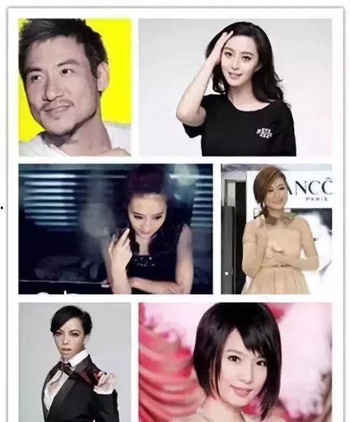 明星网红趣事,揭秘明星网红的趣味瞬间