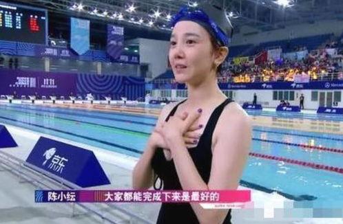 明星网红队,闪耀娱乐新篇章