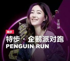 明星网红综艺