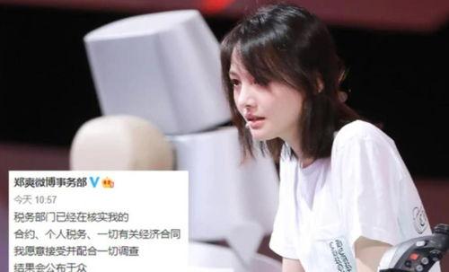 财税明星网红