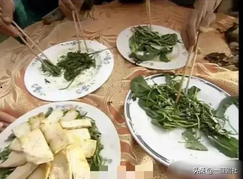 贵阳大学吃瓜爆料,吃瓜爆料，揭秘校园生活幕后故事