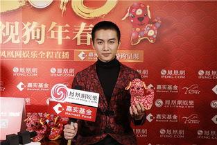 赞助明星网红,揭秘赞助背后的影响力传奇