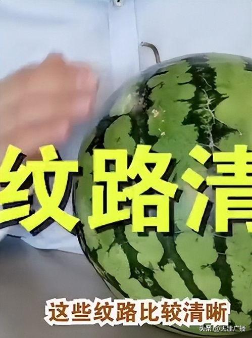 今日头条特别吃瓜,特别吃瓜，娱乐圈幕后大事件大曝光！