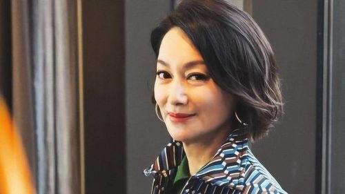 明星网红姐,揭秘明星网红的崛起之路
