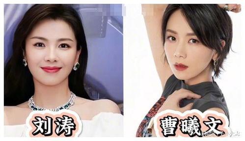 明星网红意思,揭秘明星网红的璀璨人生