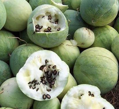 黑料吃瓜网今日大瓜,真相令人震惊！