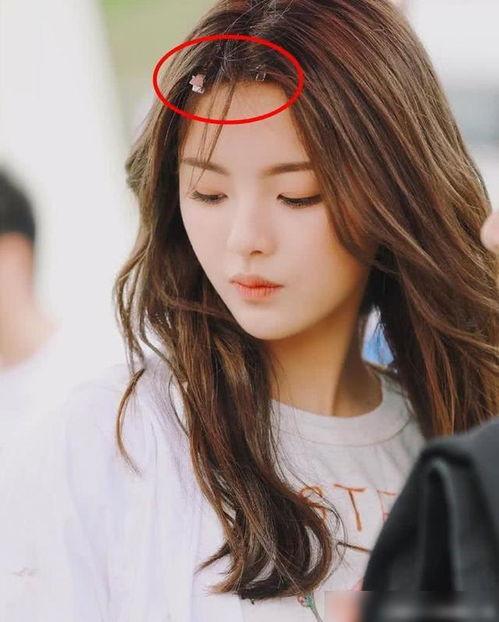 夹子明星网红,跨界融合，引领潮流新风向