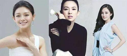 众多明星网红,璀璨星光下的网络影响力解析