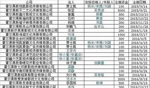 明星网红报税,揭秘报税背后的秘密与挑战