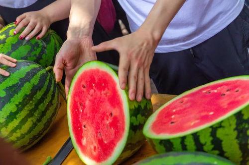 贵阳学校吃瓜爆料,揭秘校园生活那些事儿