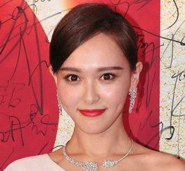 蔚县明星网红,点亮乡村新风尚的璀璨星辉