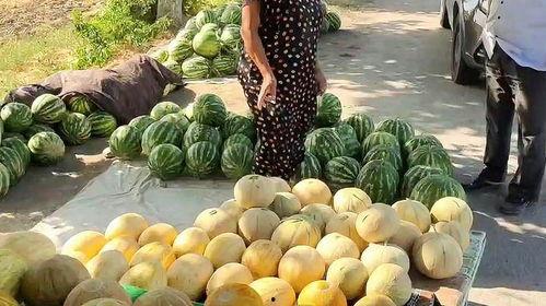 吃瓜热门最新新闻,揭秘最新吃瓜热门新闻背后的真相