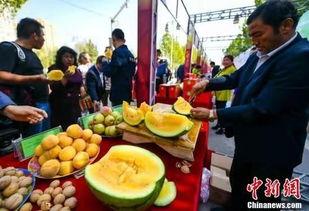 近期热门吃瓜事件缅甸,揭秘近期热门吃瓜事件背后的真相