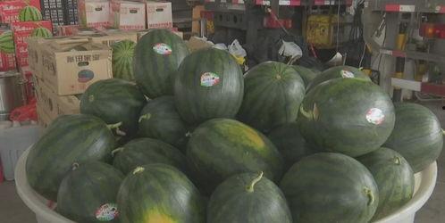 近期热门吃瓜事件缅甸,揭秘近期热门吃瓜事件背后的真相