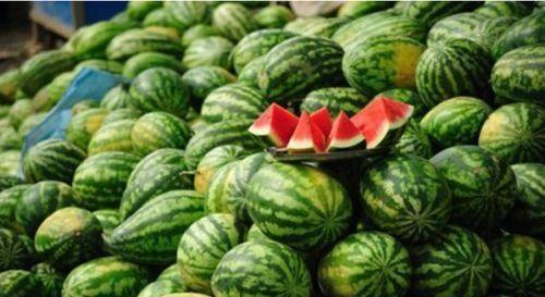 近期热门吃瓜事件缅甸,揭秘近期热门吃瓜事件背后的真相