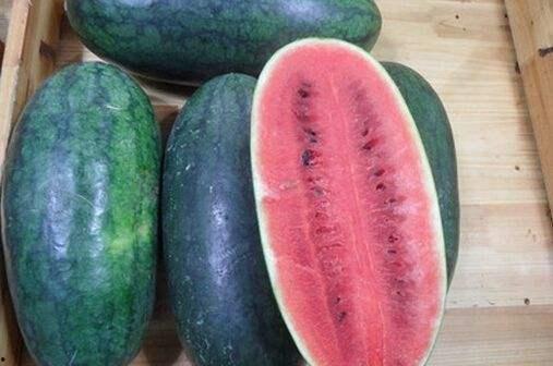 黑料吃黑瓜网是什么,网络舆论场中的暗流涌动