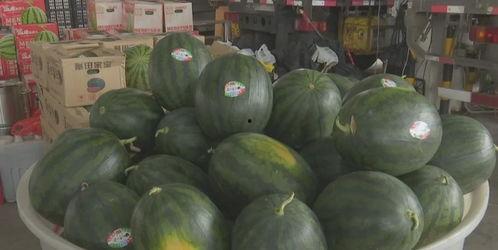 近期热门吃瓜事件柳州,揭秘近期热门吃瓜事件背后的真相