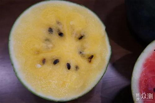 黑科大的瓜在那吃,揭秘校园食堂的“秘密角落”