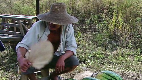 嘎子爆料吃瓜,娱乐圈吃瓜大揭秘，真相令人震惊！