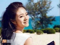 明星网红前世,明星网红的前世传奇揭秘