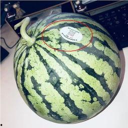 网红最新热门吃瓜,揭秘娱乐圈最新热点事件