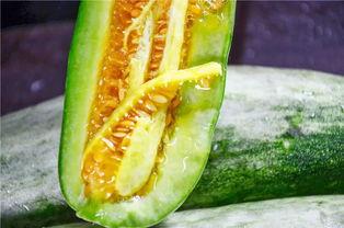 网红最新热门吃瓜,揭秘娱乐圈最新热点事件